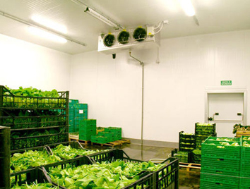 المخازن الباردة